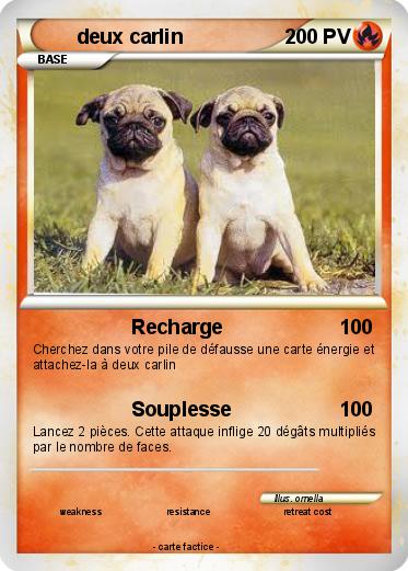 Pokemon deux carlin