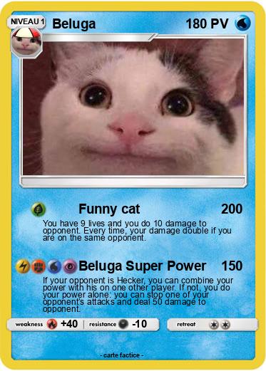 Pokemon Beluga
