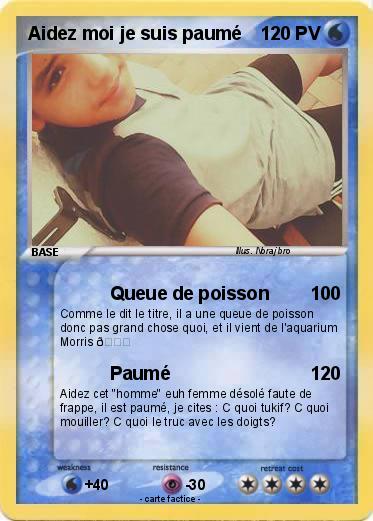 Pokemon Aidez moi je suis paumé