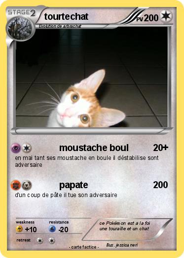 Pokemon tourtechat