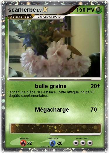 Pokemon scarherbe