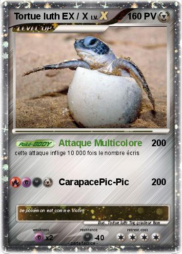 Pokemon Tortue luth EX / X