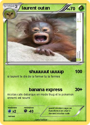 Pokemon laurent outan