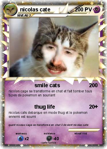 Pokemon nicolas cate