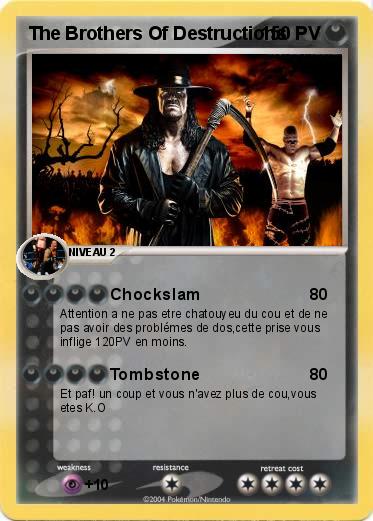 Pokemon The Brothers Of Destructions
