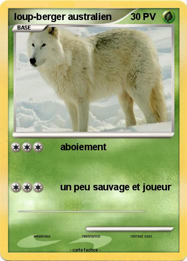 Pokemon loup-berger australien