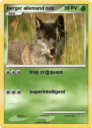 Pokemon berger allemand noir