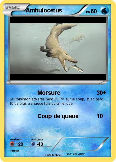 Pokemon Ambulocetus