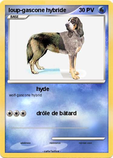 Pokemon loup-gascone hybride
