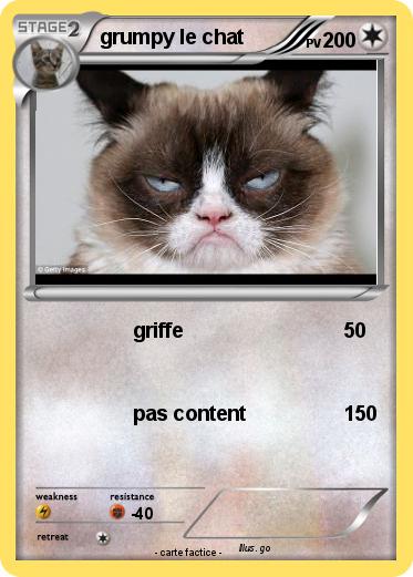 Pokemon grumpy le chat