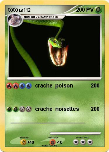 Pokemon toto