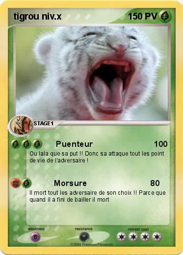 Pokemon tigrou niv.x 