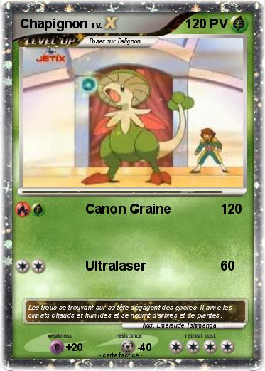 Pokemon Chapignon