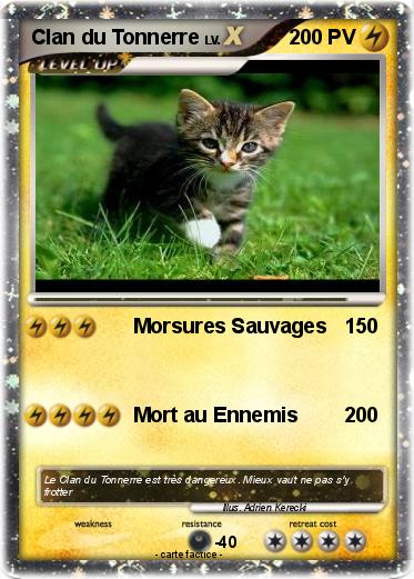 Pokemon Clan du Tonnerre