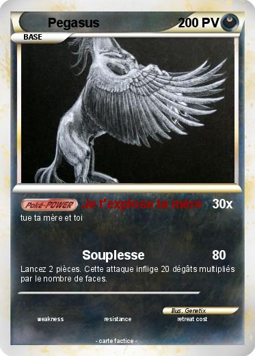 Pokemon Pegasus