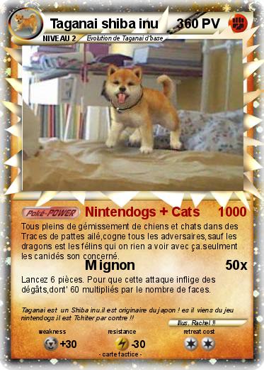 Pokemon Taganai shiba inu     3