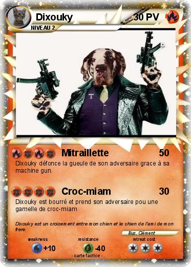 Pokemon Dixouky