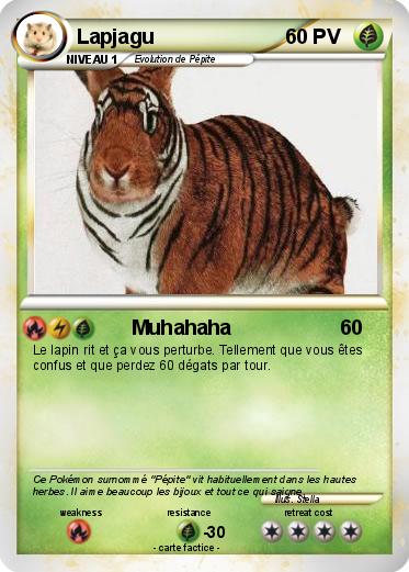 Pokemon Lapjagu