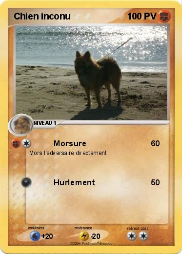 Pokemon Chien inconu