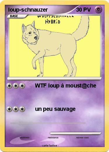Pokemon loup-schnauzer