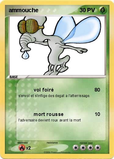 Pokemon ammouche