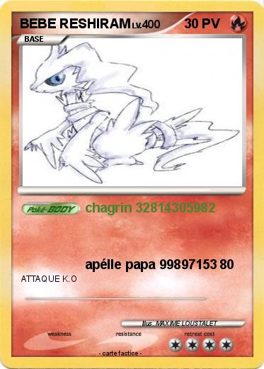 Pokemon BEBE RESHIRAM