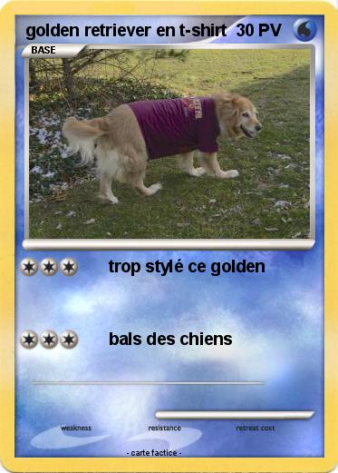 Pokemon golden retriever en t-shirt