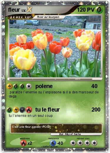 Pokemon fleur