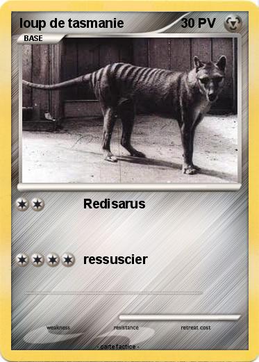 Pokemon loup de tasmanie