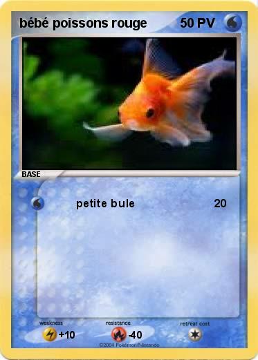 Pokemon bébé poissons rouge