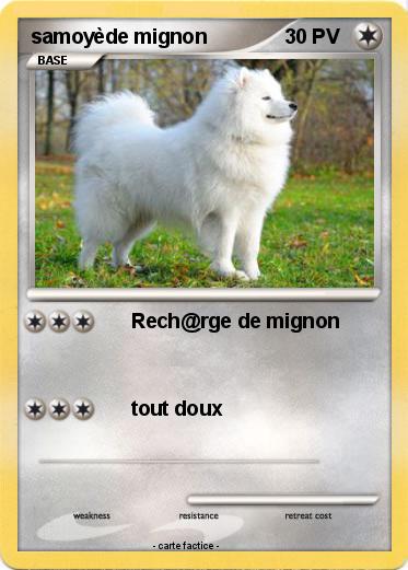 Pokemon samoyède mignon
