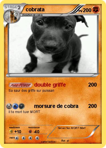 Pokemon cobrata
