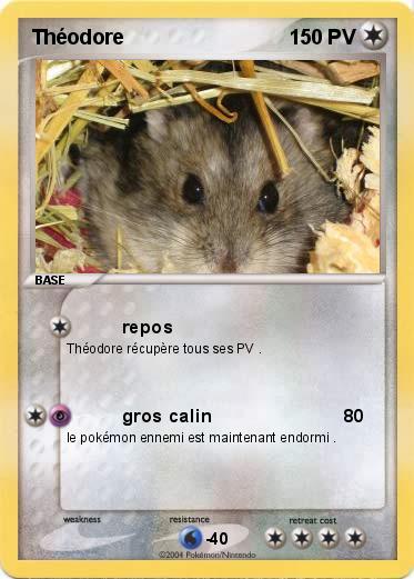 Pokemon Théodore