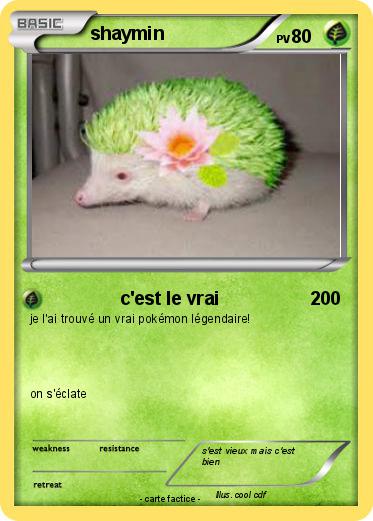 Pokemon shaymin