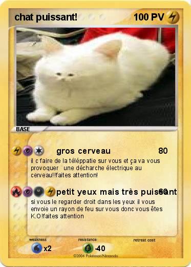 Pokemon chat puissant!