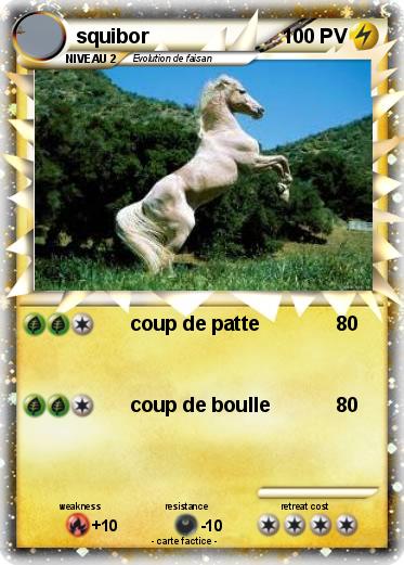 Pokemon squibor