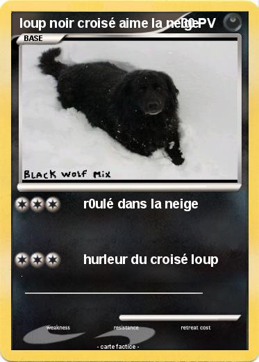Pokemon loup noir croisé aime la neige