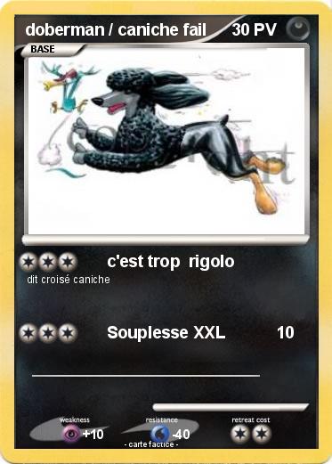 Pokemon doberman / caniche fail