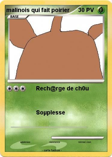 Pokemon malinois qui fait poirier
