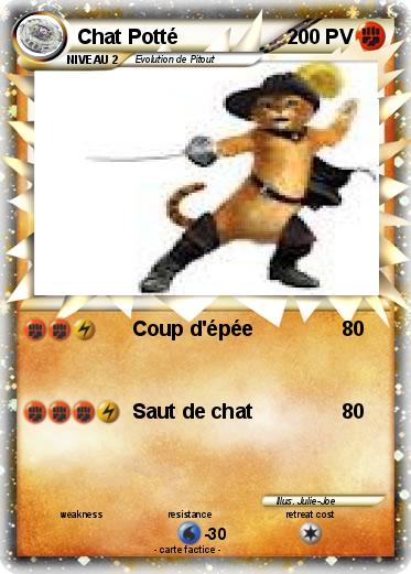 Pokemon Chat Potté