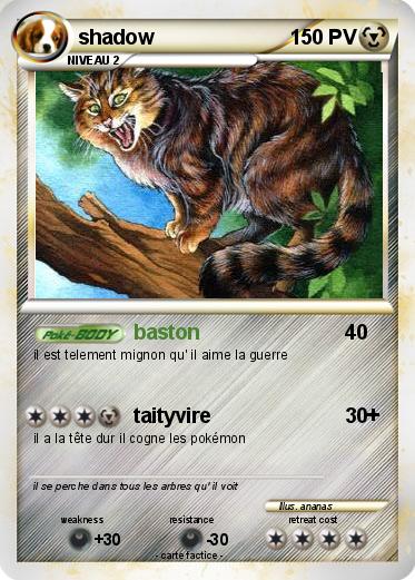 Pokemon shadow