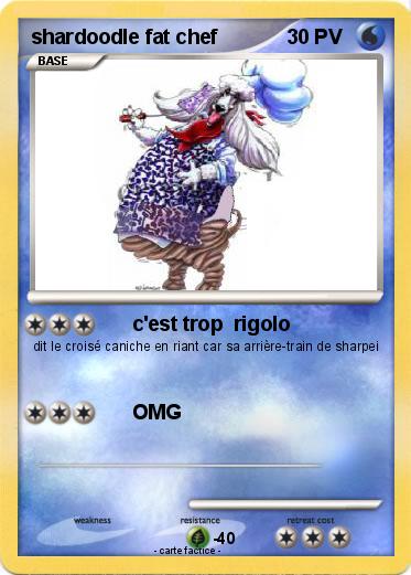 Pokemon shardoodle fat chef