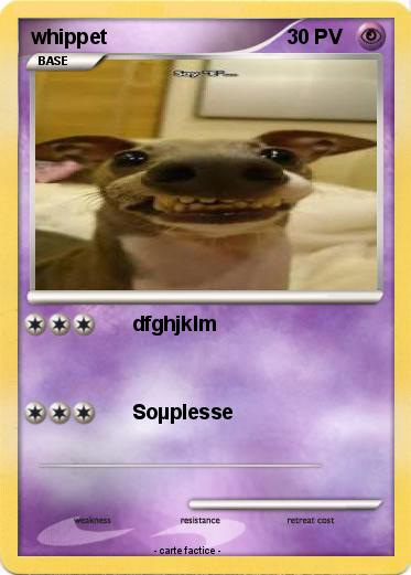 Pokemon whippet