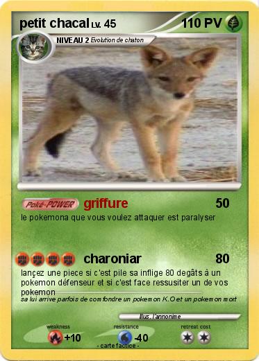 Pokemon petit chacal