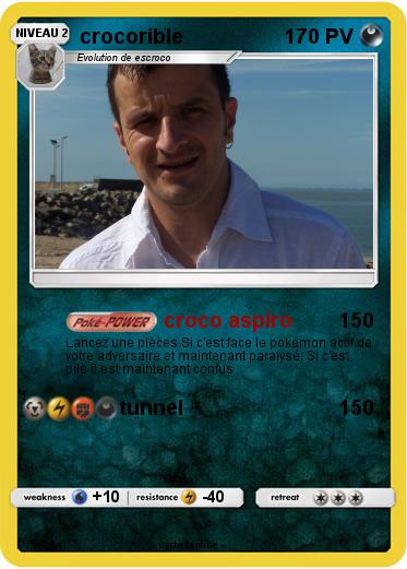 Pokemon crocorible