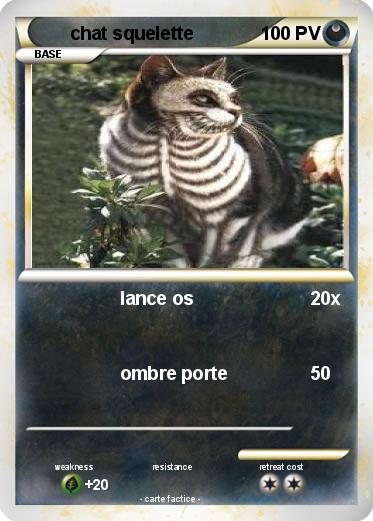 Pokemon chat squelette