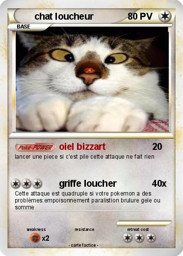 Pokemon chat loucheur