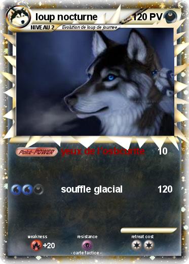 Pokemon loup nocturne