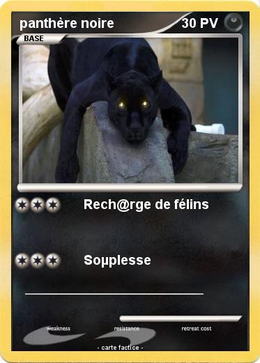 Pokemon panthère noire