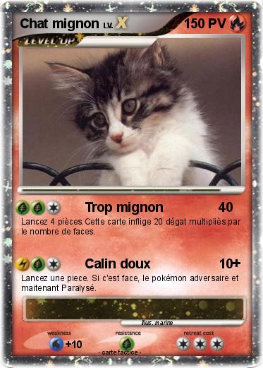 Pokemon Chat mignon